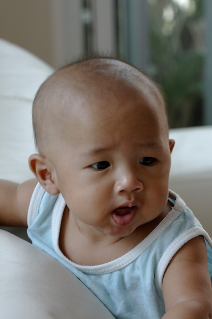 Famille & Amis-Sharp-017